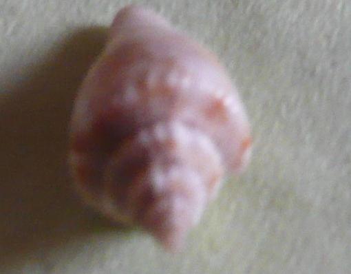 Ligia beach, mer �g�e.